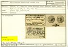 Karteikarte zum Syntyp von Amphistegina campbelli Karrer, 1864
